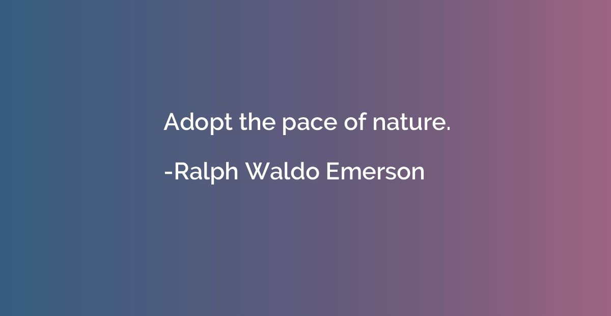 Adopt the pace of nature.