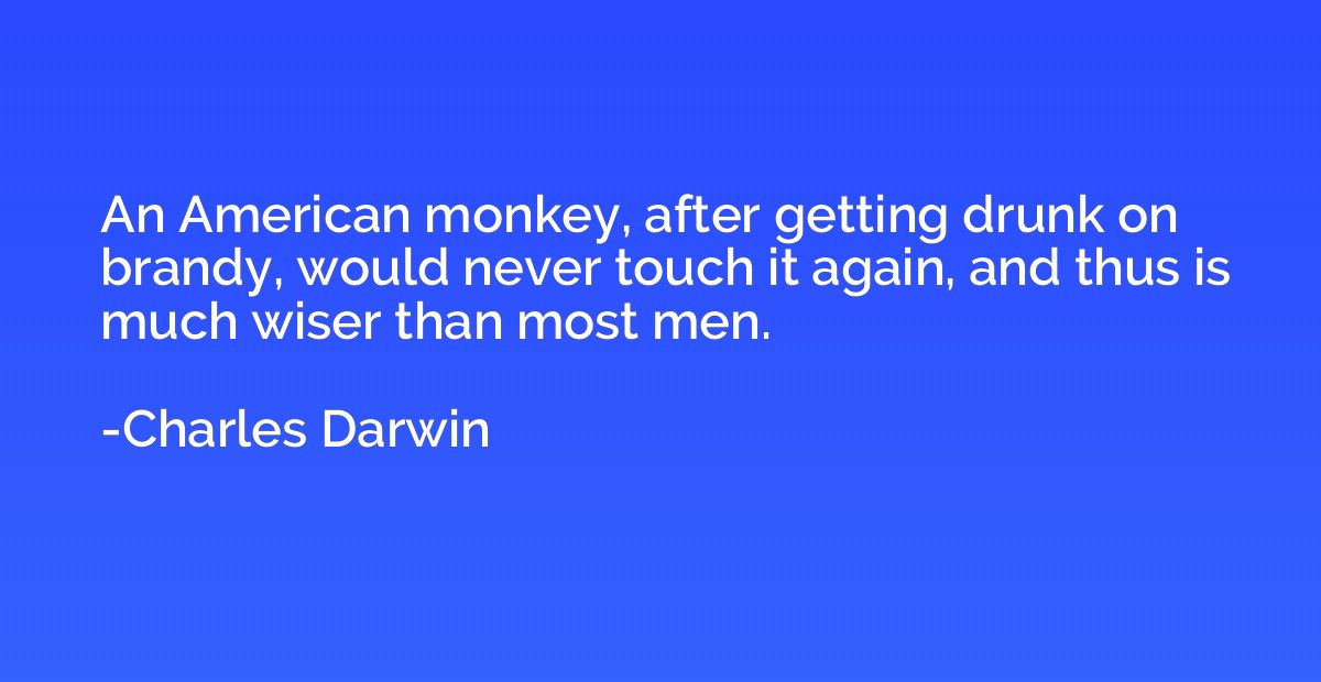 An American monkey, after getting drunk on brandy, would nev