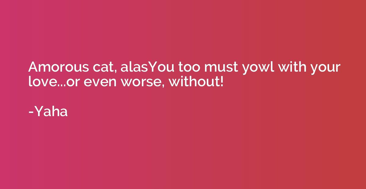 Amorous cat, alasYou too must yowl with your love...or even 