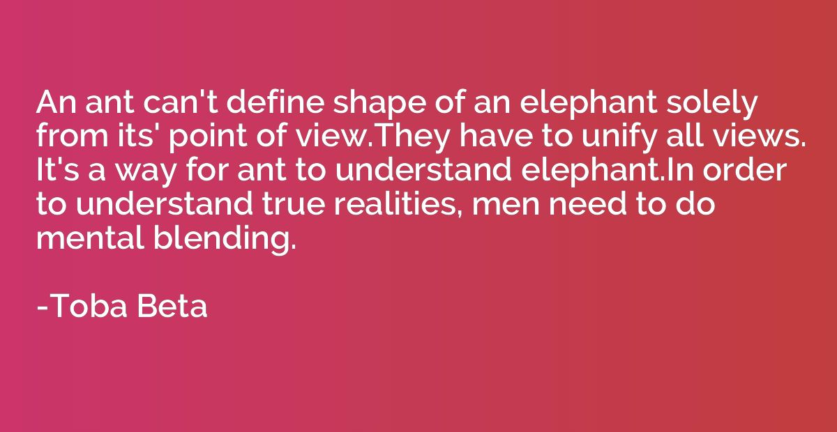 An ant can't define shape of an elephant solely from its' po