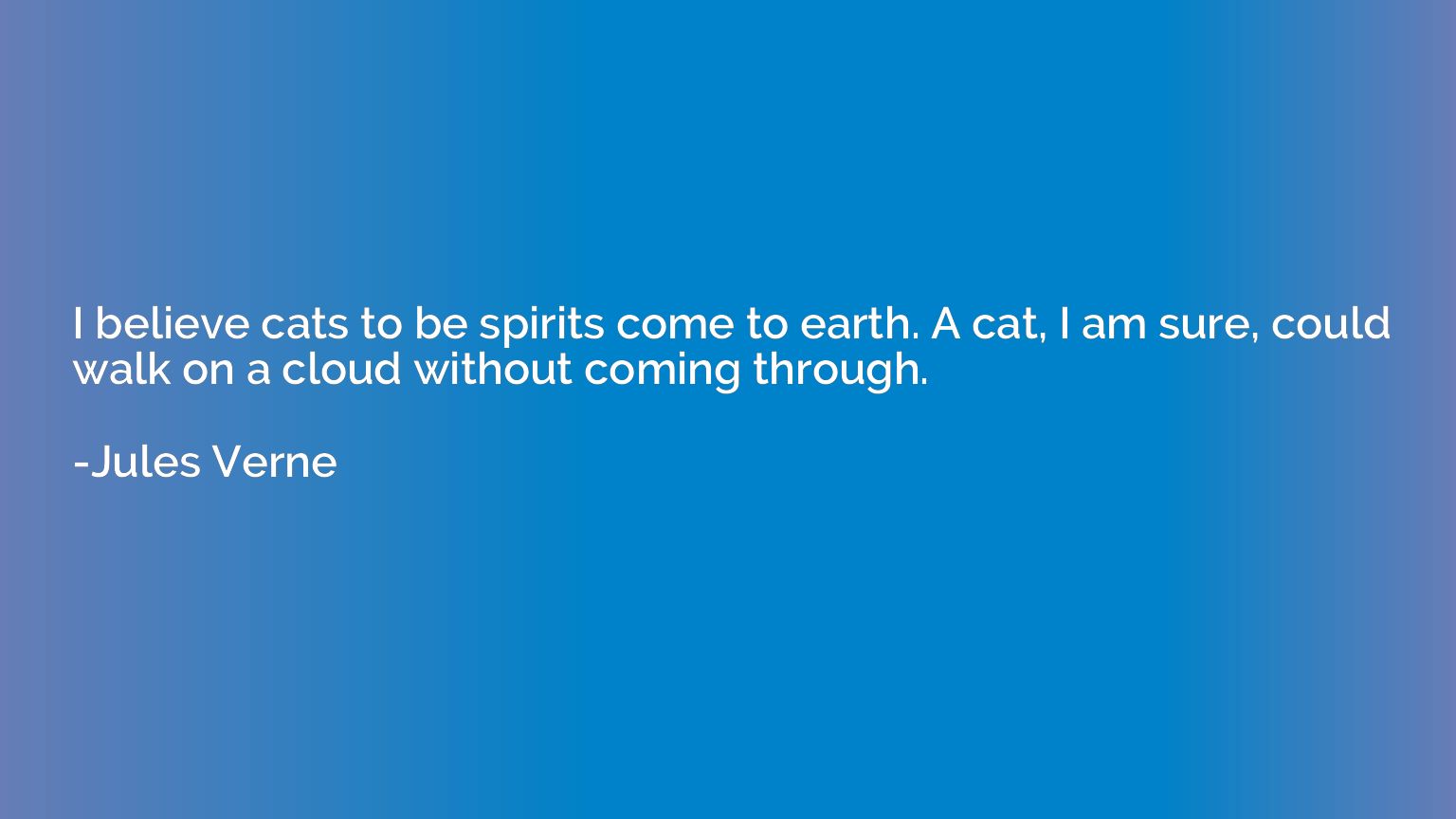 I believe cats to be spirits come to earth. A cat, I am sure
