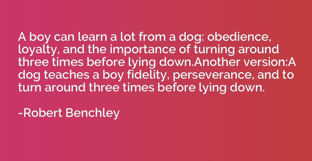 A boy can learn a lot from a dog: obedience, loyalty, and th