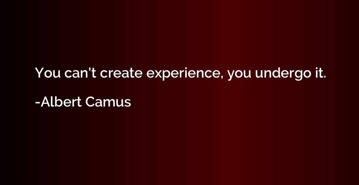 You can't create experience, you undergo it.