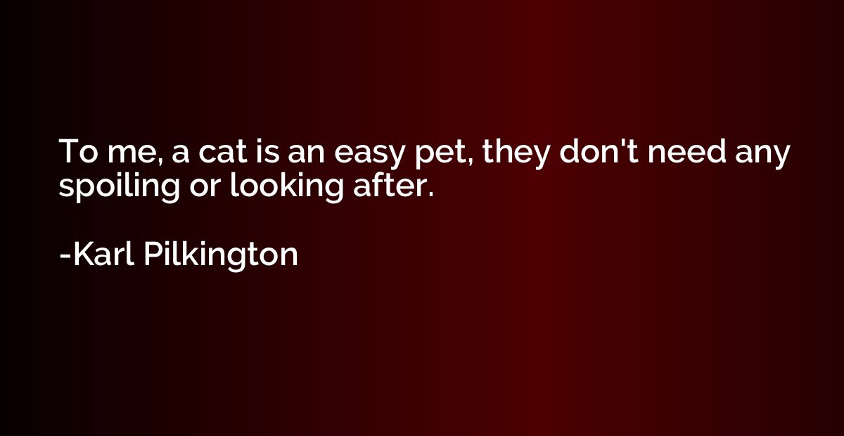 To me, a cat is an easy pet, they don't need any spoiling or