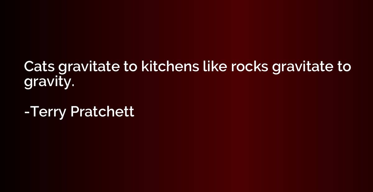 Cats gravitate to kitchens like rocks gravitate to gravity.