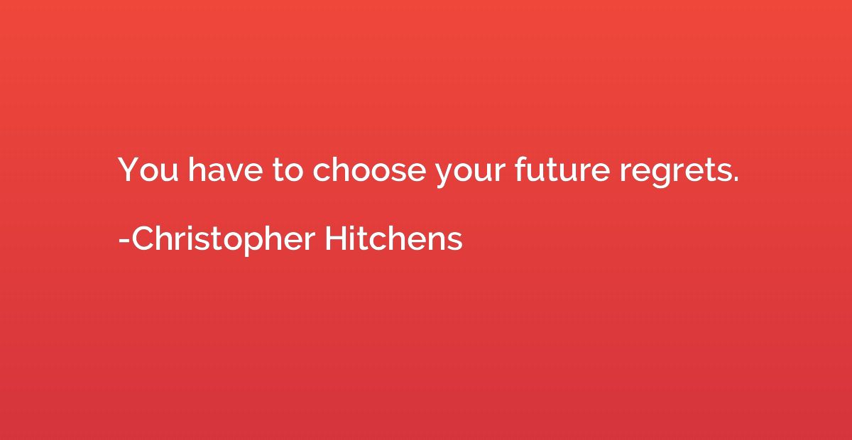You have to choose your future regrets.