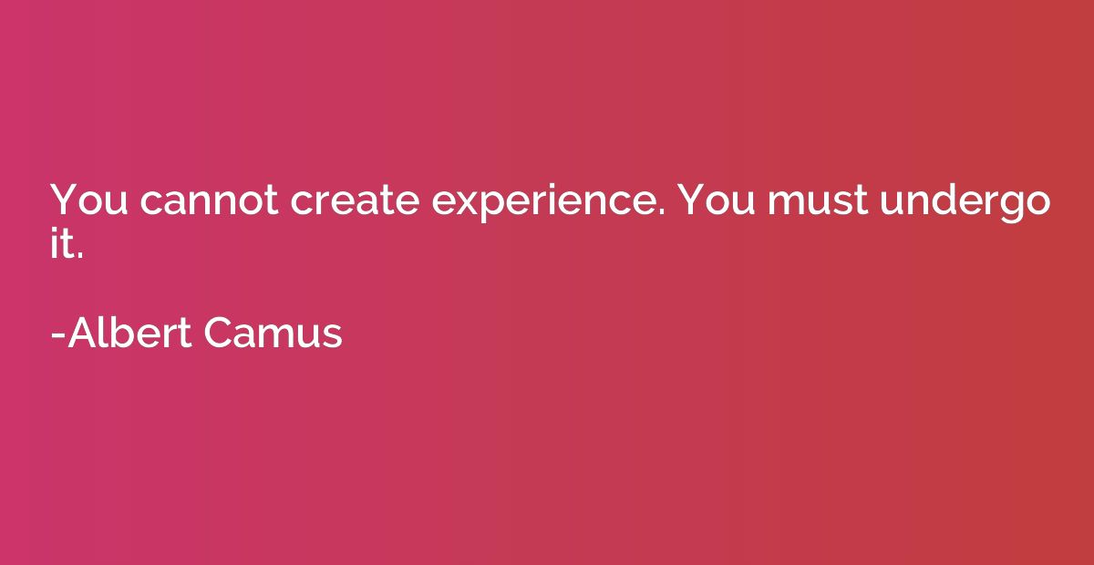You cannot create experience. You must undergo it.