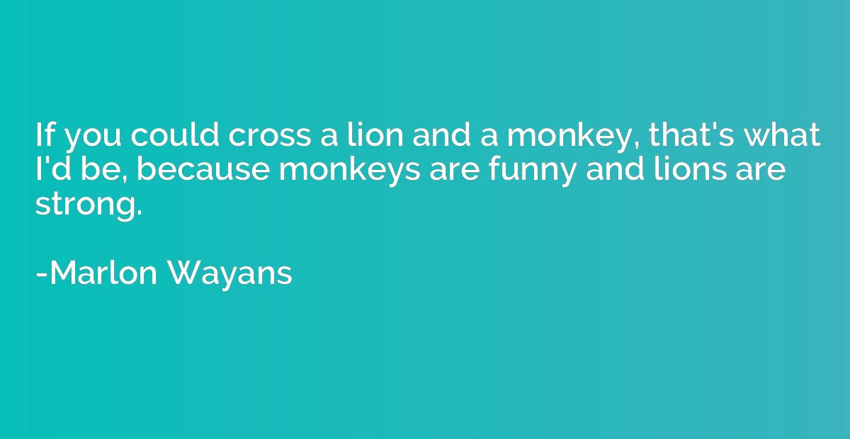 If you could cross a lion and a monkey, that's what I'd be, 