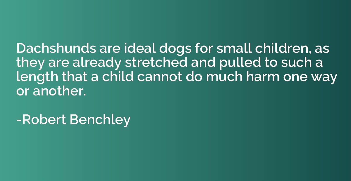 Dachshunds are ideal dogs for small children, as they are al