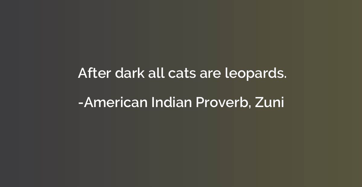 After dark all cats are leopards.