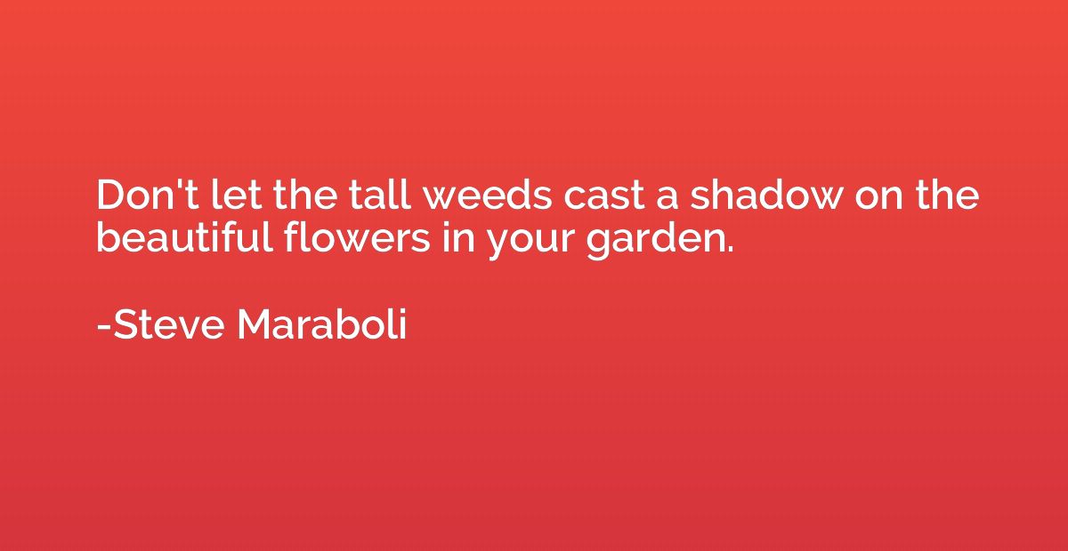 Don't let the tall weeds cast a shadow on the beautiful flow