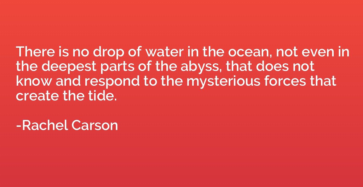 There is no drop of water in the ocean, not even in the deep