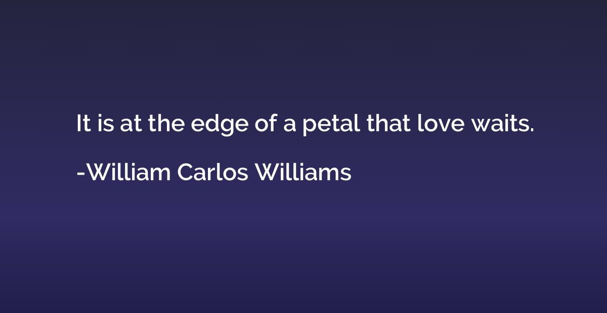It is at the edge of a petal that love waits.