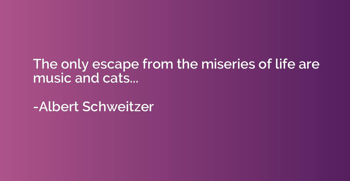 The only escape from the miseries of life are music and cats