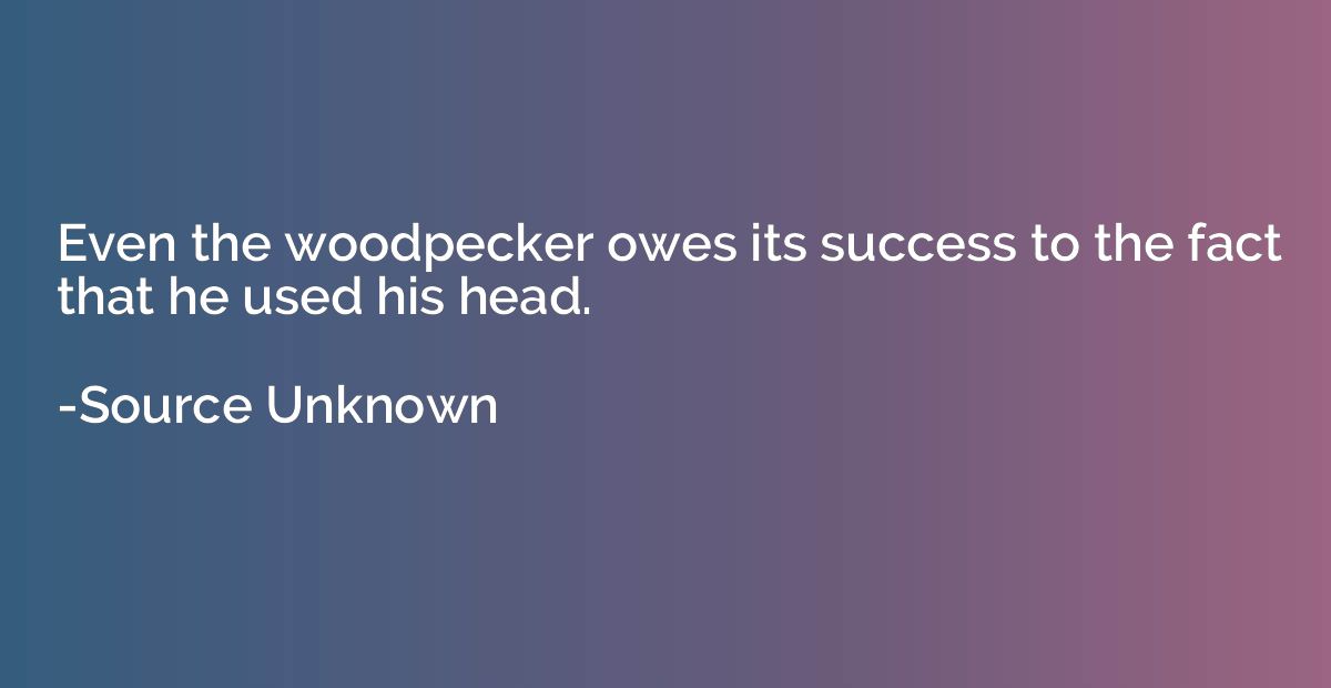 Even the woodpecker owes its success to the fact that he use