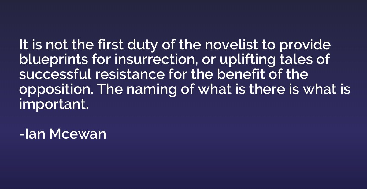 It is not the first duty of the novelist to provide blueprin
