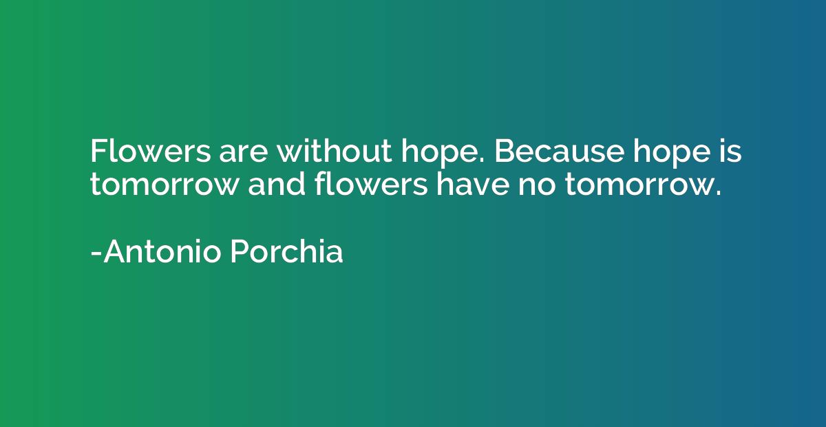 Flowers are without hope. Because hope is tomorrow and flowe