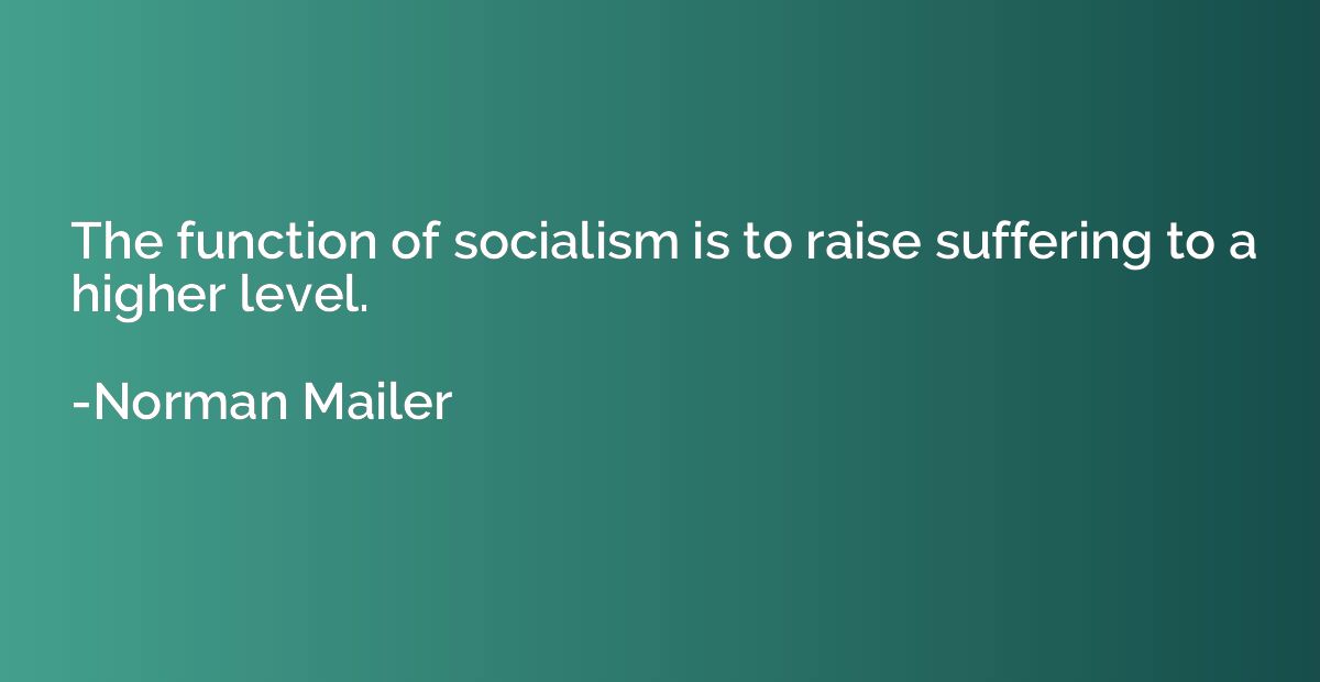 The function of socialism is to raise suffering to a higher 