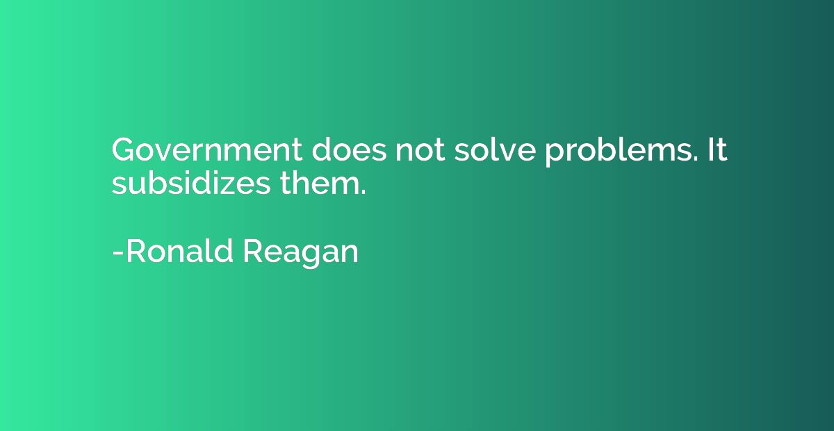 Government does not solve problems. It subsidizes them.