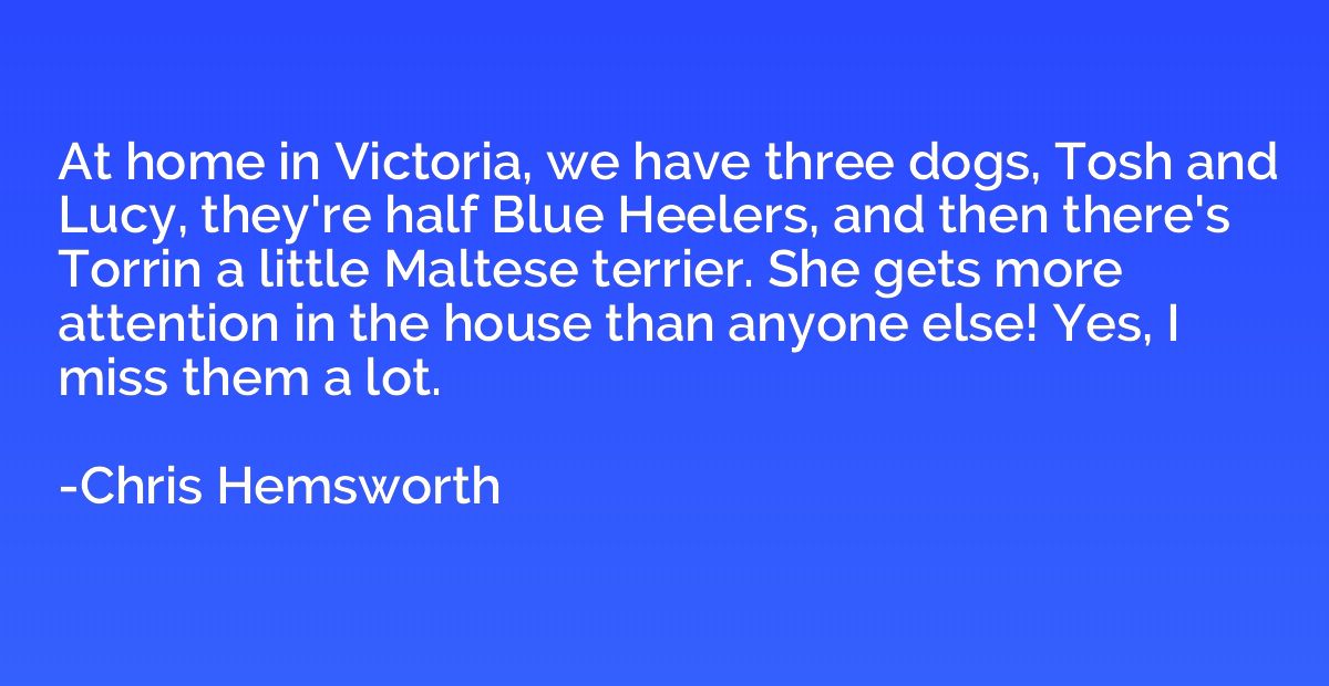 At home in Victoria, we have three dogs, Tosh and Lucy, they