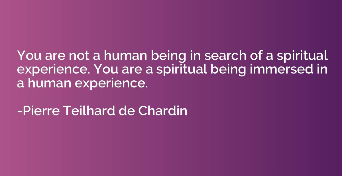 You are not a human being in search of a spiritual experienc