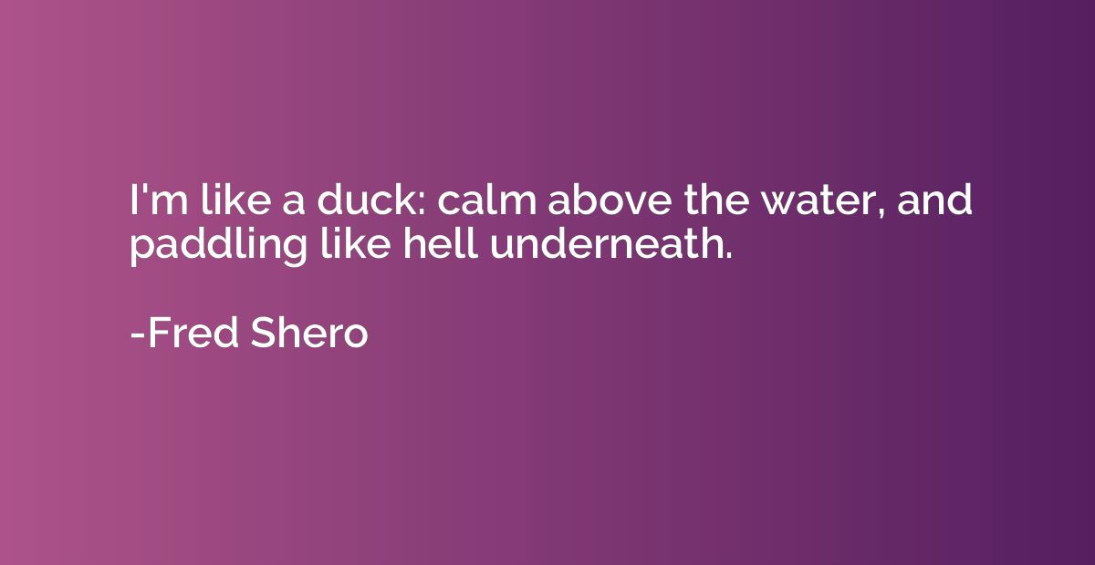 I'm like a duck: calm above the water, and paddling like hel