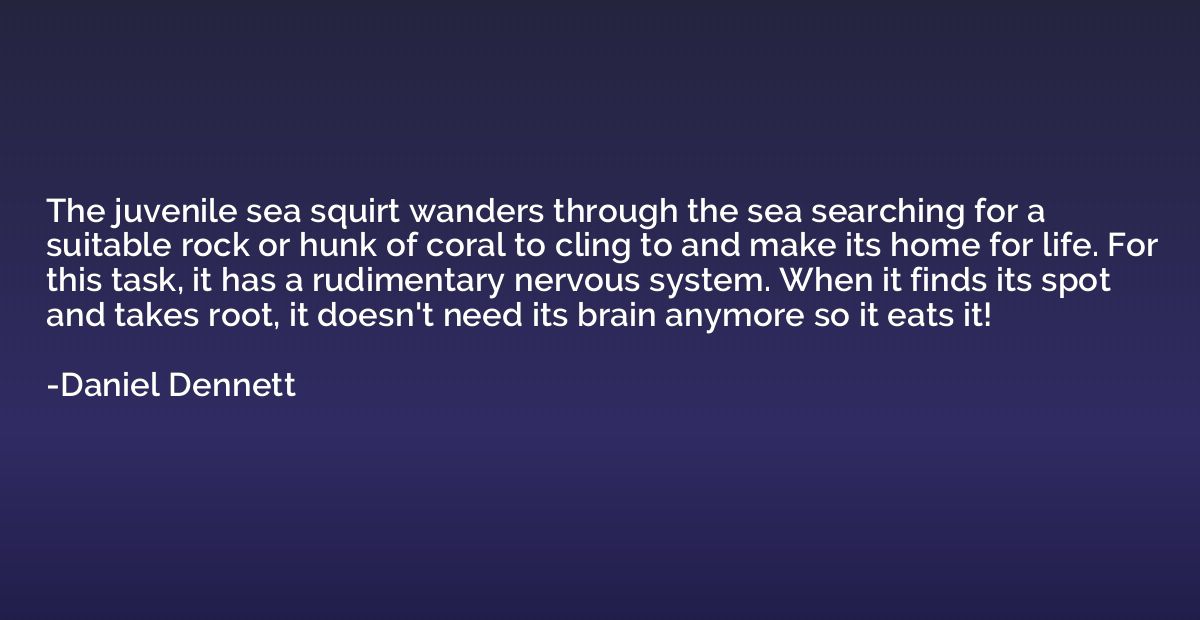 The juvenile sea squirt wanders through the sea searching fo