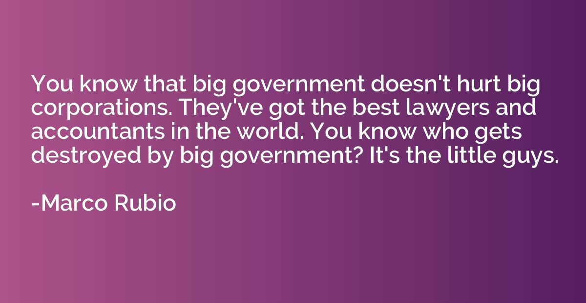 You know that big government doesn't hurt big corporations. 