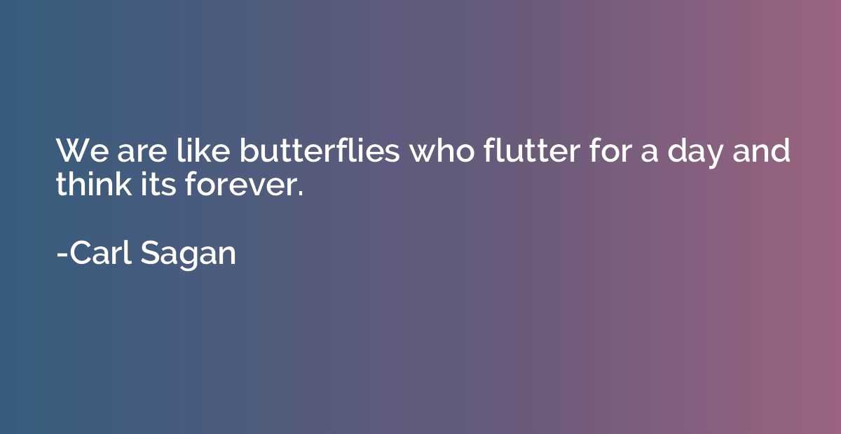 We are like butterflies who flutter for a day and think its 