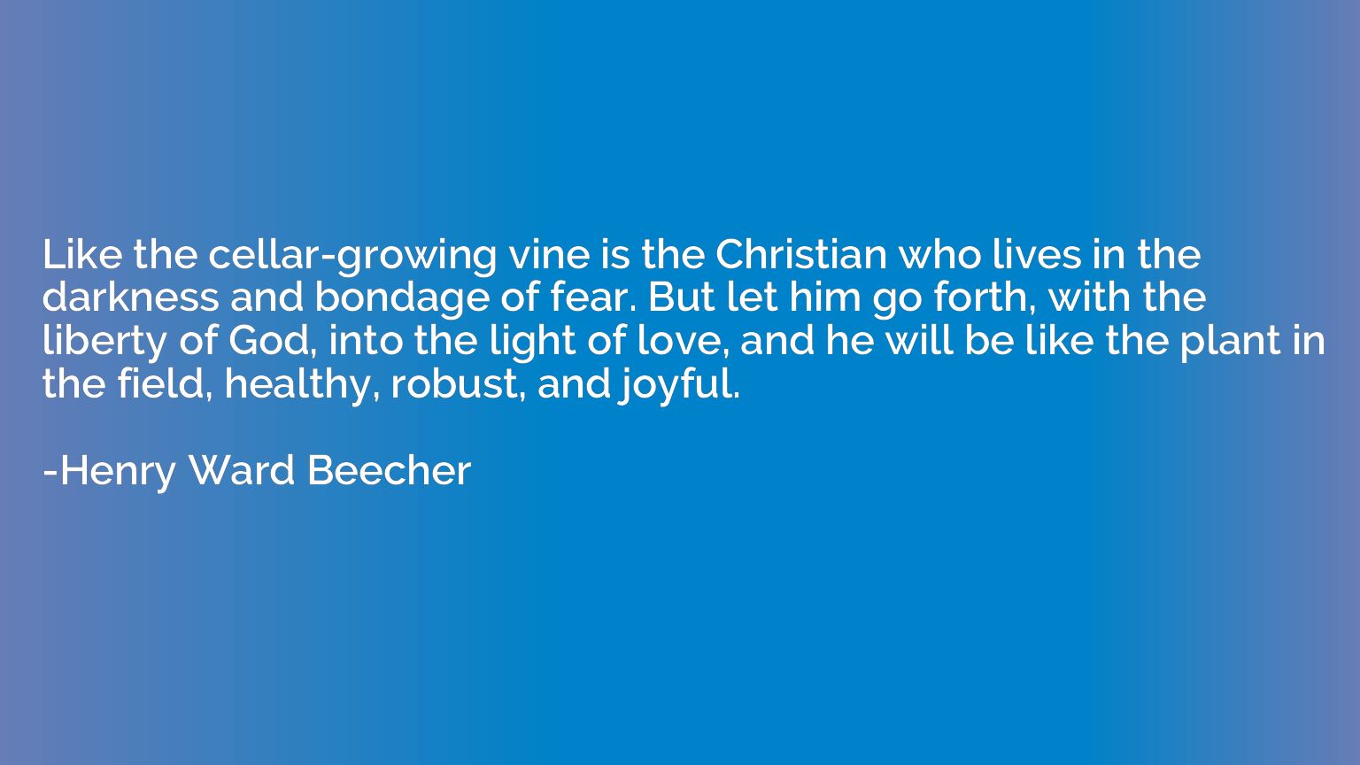 Like the cellar-growing vine is the Christian who lives in t