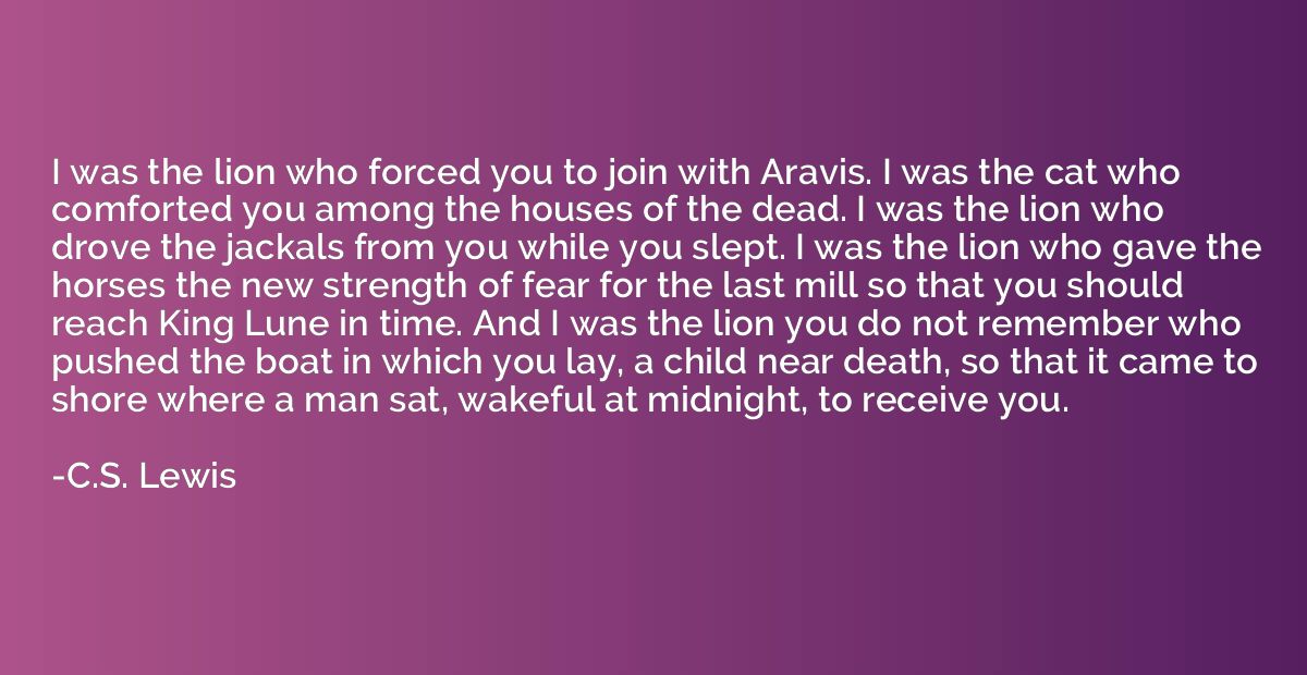 I was the lion who forced you to join with Aravis. I was the