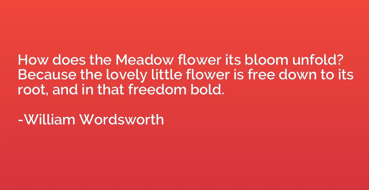 How does the Meadow flower its bloom unfold? Because the lov