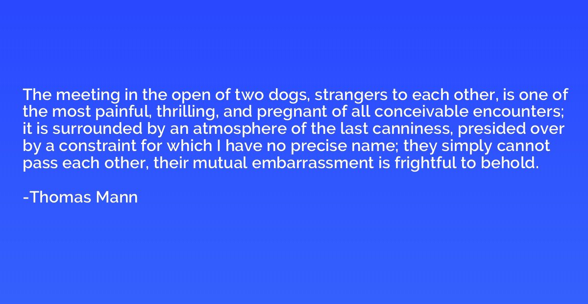 The meeting in the open of two dogs, strangers to each other
