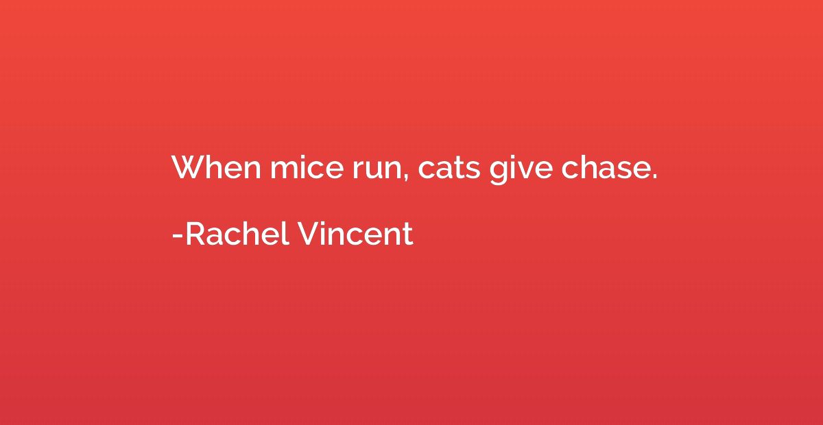 When mice run, cats give chase.