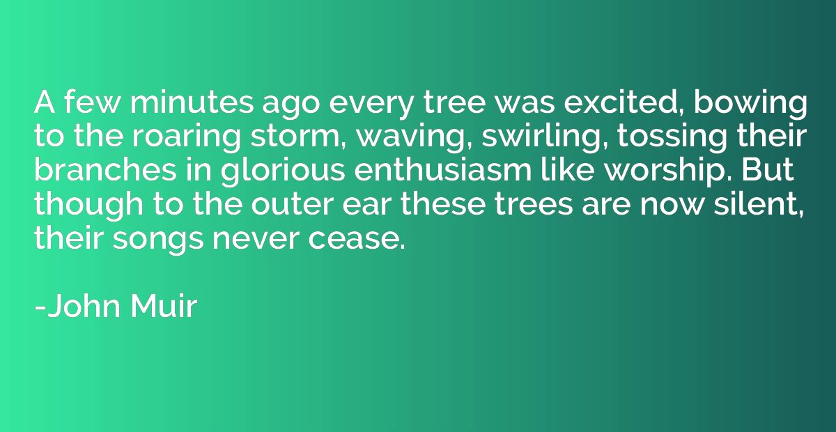 A few minutes ago every tree was excited, bowing to the roar