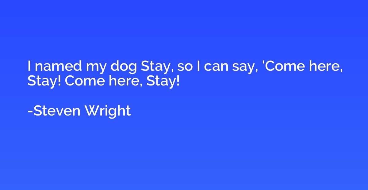 I named my dog Stay, so I can say, 'Come here, Stay! Come he