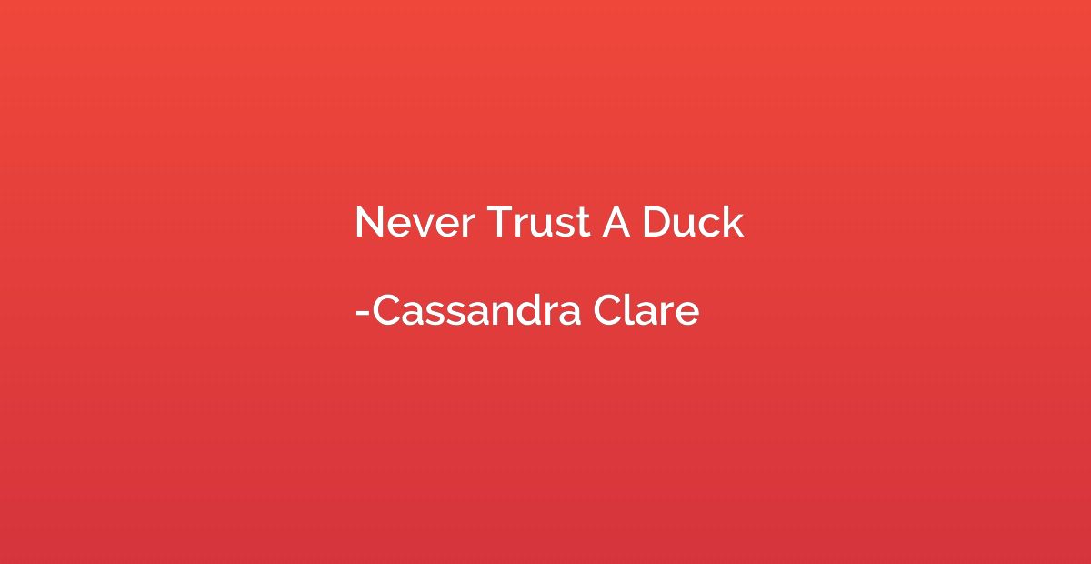 Never Trust A Duck