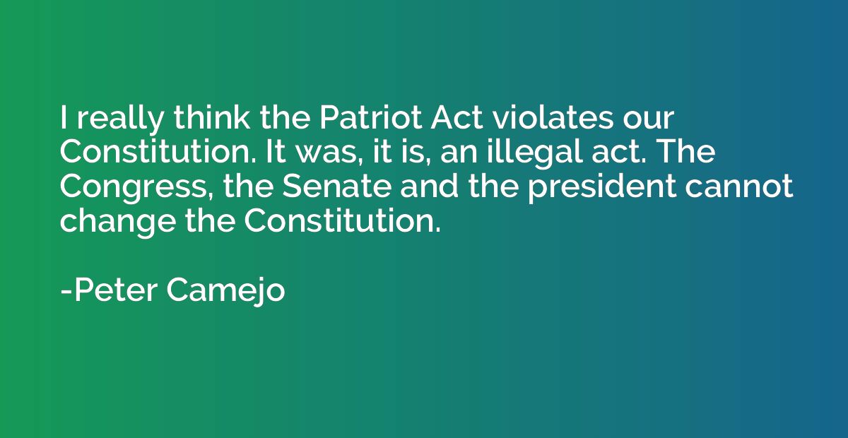 I really think the Patriot Act violates our Constitution. It