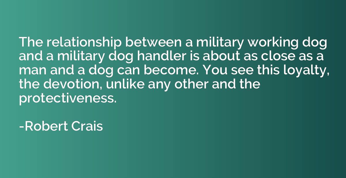 The relationship between a military working dog and a milita