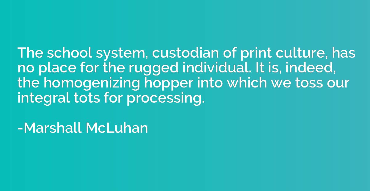 The school system, custodian of print culture, has no place 
