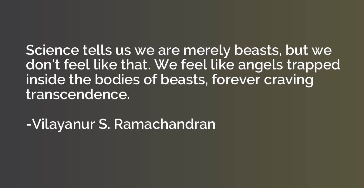 Science tells us we are merely beasts, but we don't feel lik