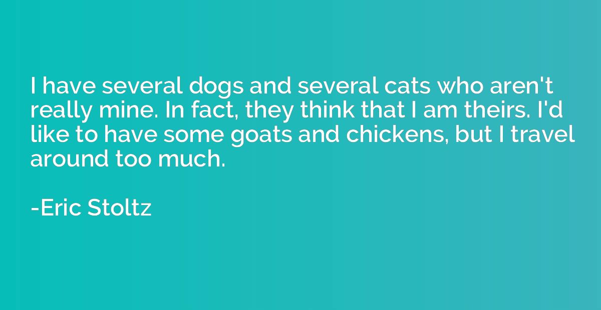 I have several dogs and several cats who aren't really mine.