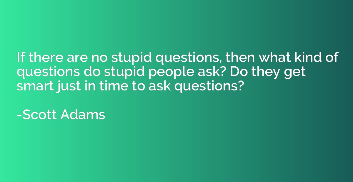 If there are no stupid questions, then what kind of question