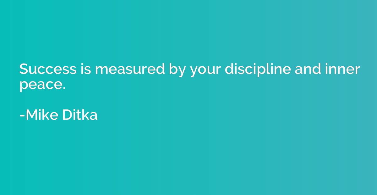 Success is measured by your discipline and inner peace.