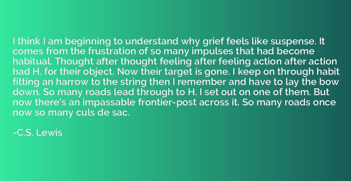 I think I am beginning to understand why grief feels like su
