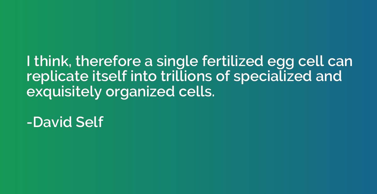 I think, therefore a single fertilized egg cell can replicat