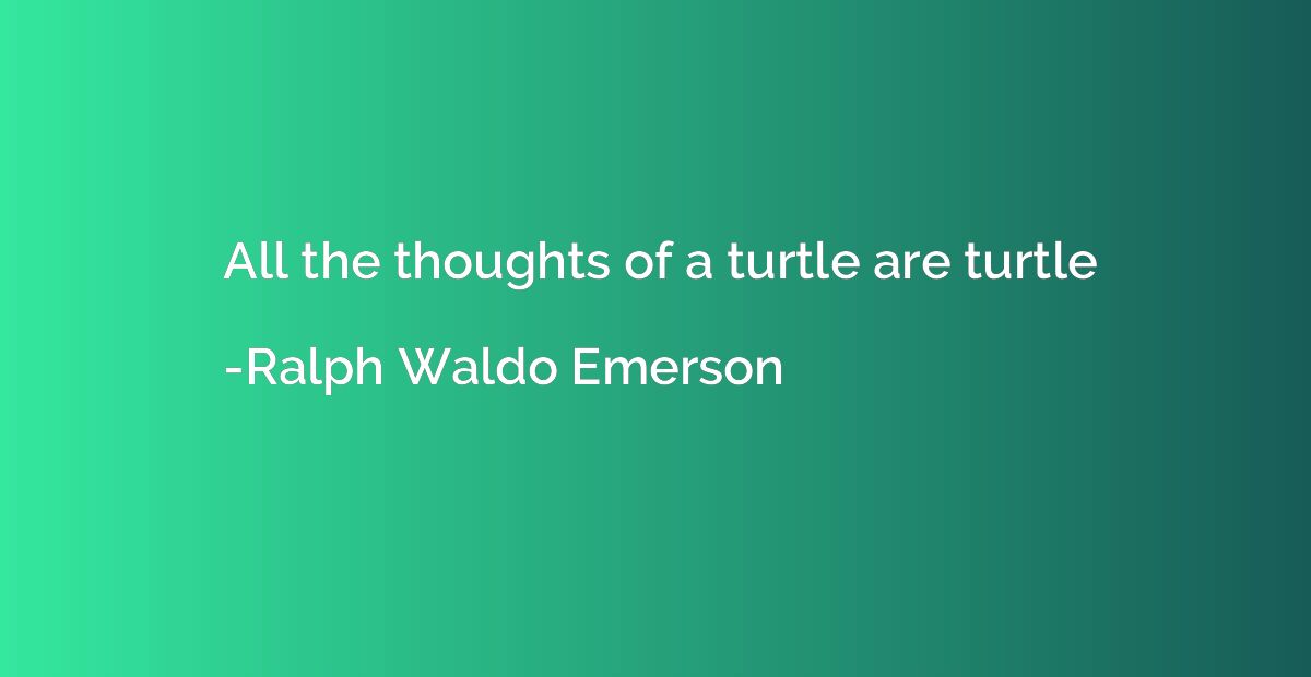 All the thoughts of a turtle are turtle