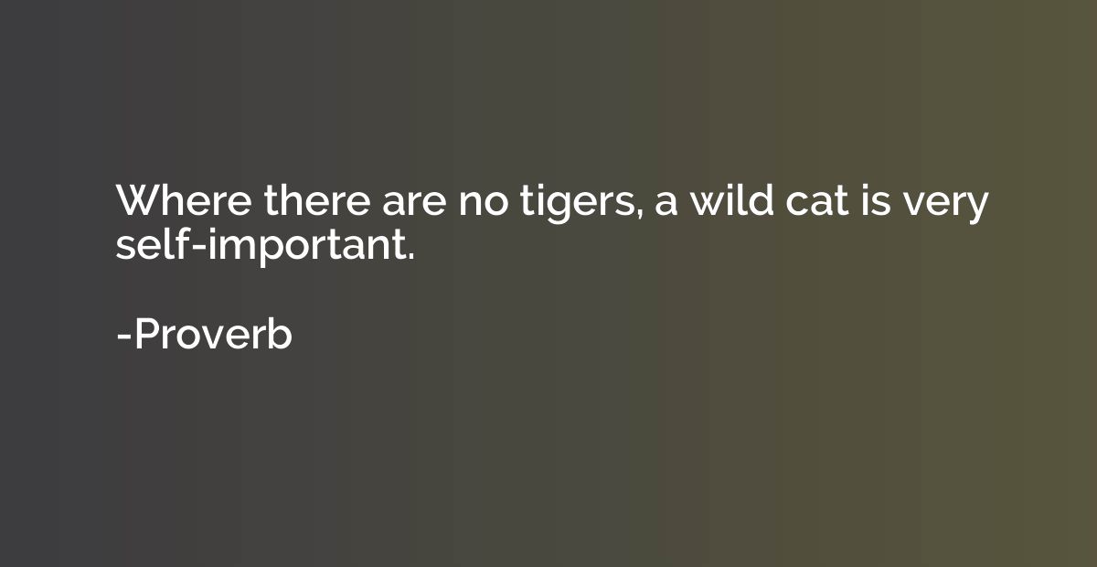 Where there are no tigers, a wild cat is very self-important
