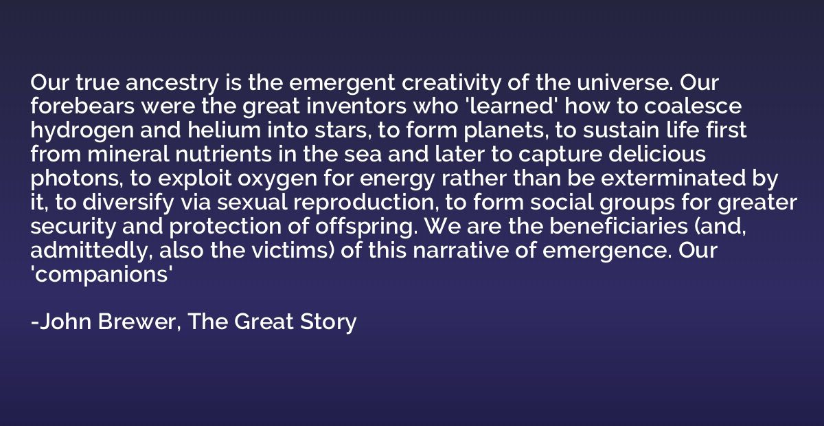 Our true ancestry is the emergent creativity of the universe