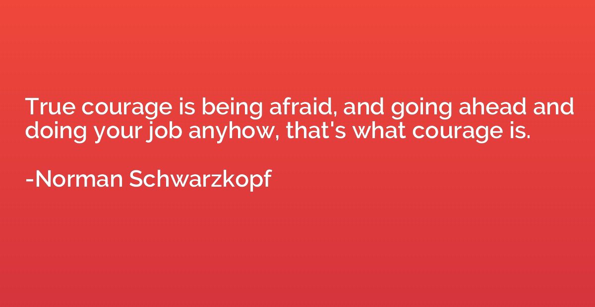 True courage is being afraid, and going ahead and doing your